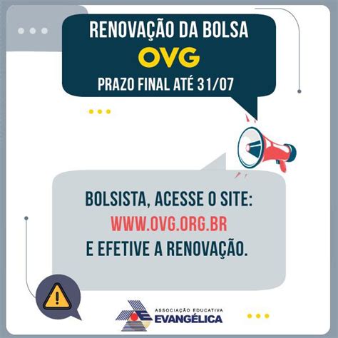 ovg bolsa